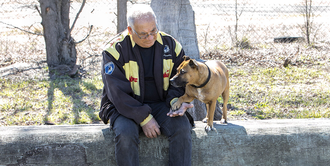 World Elder Abuse Awareness Day 2019